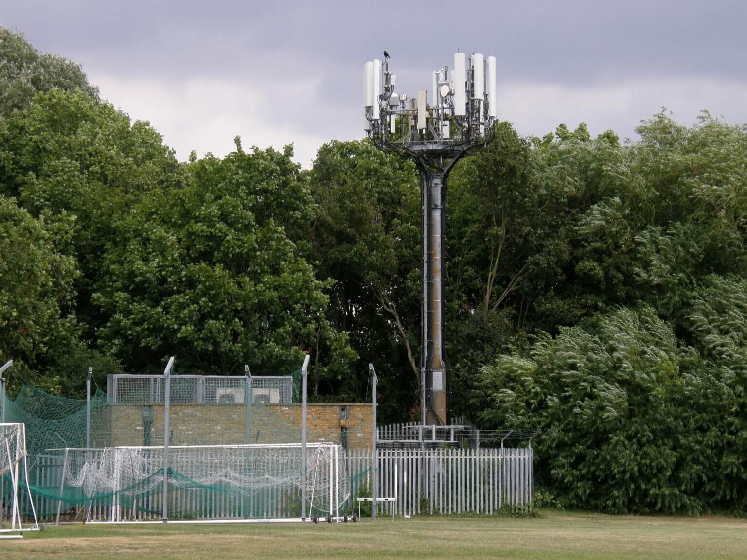 EE Limited & Hutchison 3G UK Limited v Duncan (Appeal) Amsy Chartered